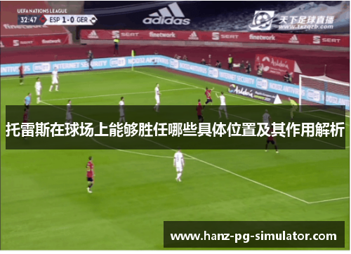 托雷斯在球场上能够胜任哪些具体位置及其作用解析