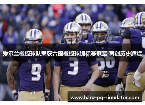 爱尔兰橄榄球队荣获六国橄榄球锦标赛冠军 再创历史辉煌